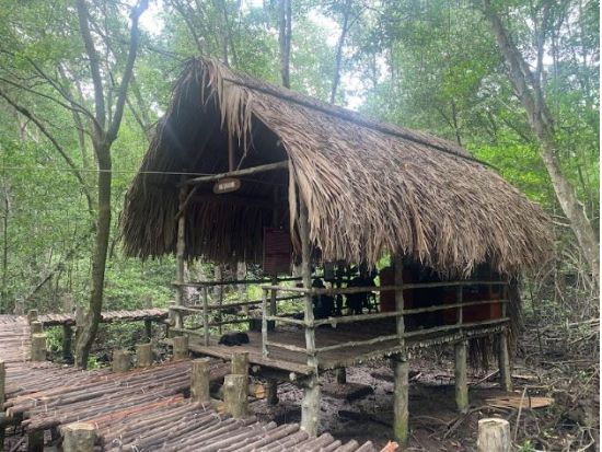 【ユネスコ保護区を訪問】マングローブの森探検とクルーズ体験　＜日本語ガイド＆昼食付き＞