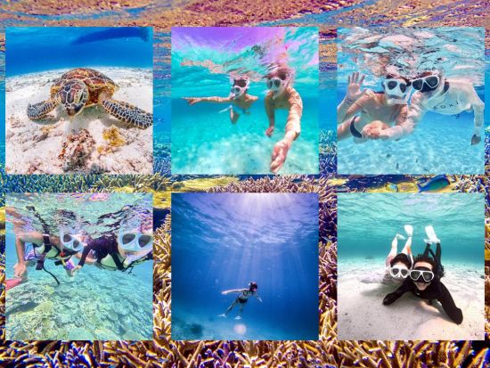 シュノーケル/スキンダイビングで日本最大級のサンゴ礁を巡るコース！八重干瀬で宮古島の海を満喫 初めての方も歓迎＜１日／宮古島＞