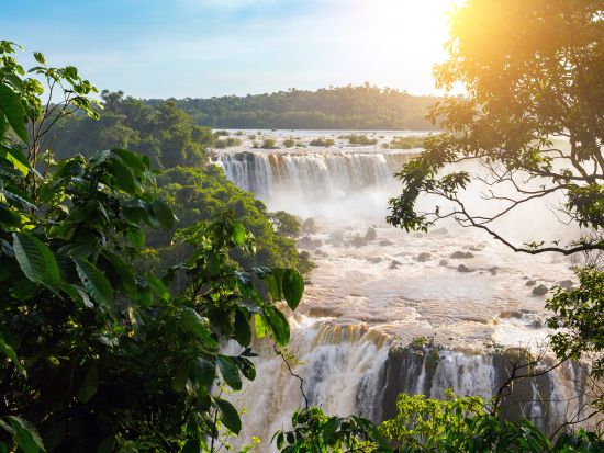 世界遺産イグアスの滝日帰りツアー　ブラジル＆アルゼンチン側から観光！サファリボートツアー付き＜日本語ガイド／フォスドイグアス発着＞