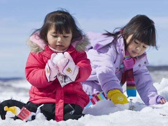 Victorian Snow Fields - Visit Victoria Mark Watson Incite Images 111204-56