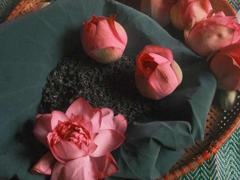 Hien Minh Tea House13