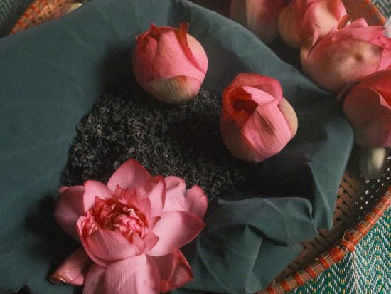 【6～7月限定】ハノイ蓮三昧ツアー　蓮の花鑑賞＆蓮茶作り体験＆蓮料理ランチ ＜午前／日本語ガイド／アオザイレンタル可＞