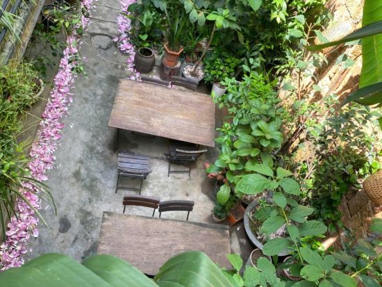【6～7月限定】ハノイ蓮三昧ツアー　蓮の花鑑賞＆蓮茶作り体験＆蓮料理ランチ ＜午前／日本語ガイド／アオザイレンタル可＞