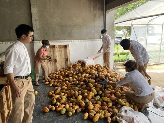 Tr00100420200708131543352