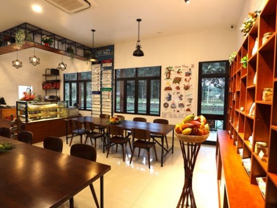 チョコレートができるまでを体感！カカオ農園＆工房見学とBBQランチ＜日本語ガイド＆昼食付き＞