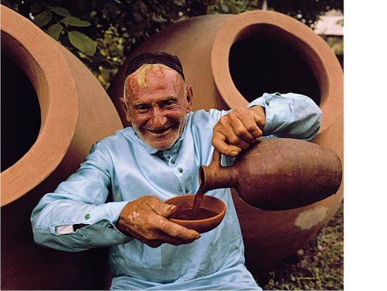 カヘティ ワイン＆グルメ満喫ツアー ＜貸切／日本語ガイド／1泊2日／トビリシ発＞