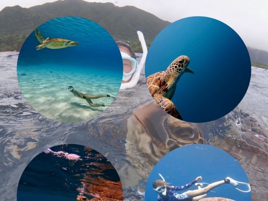 ウミガメシュノーケル 少人数制＆初心者歓迎！安心サポート付き PADI公認ガイド同行の海遊びツアー＜約3時間／石垣島＞