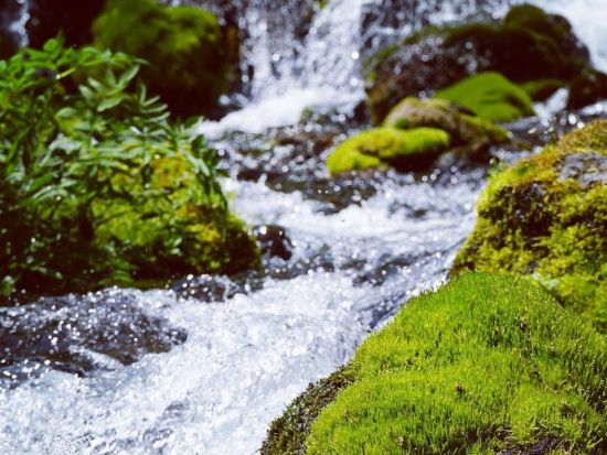 札幌発 ニセコ観光日帰りバスツアー 羊蹄山絶景＋高橋牧場＋温泉散策 ビュッフェランチ付き＜5～10月／札幌駅北口発着＞