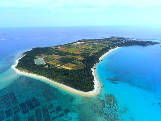 津堅島ファーム5