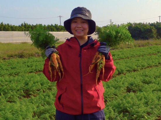 キャロットアイランドでにんじん収穫体験！ 高糖度ブランドにんじん1kgお土産付き・家族で楽しむ食育体験＜沖縄・津堅島＞