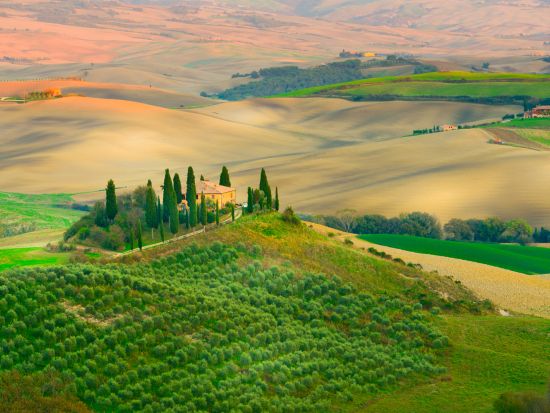 オルチャ渓谷の絶景を巡る！ピエンツァ＋モンタルチーノ＋モンテプルチャーノ日帰りワインツアー　チーズテイスティング付き＜英語／フィレンツェ発＞