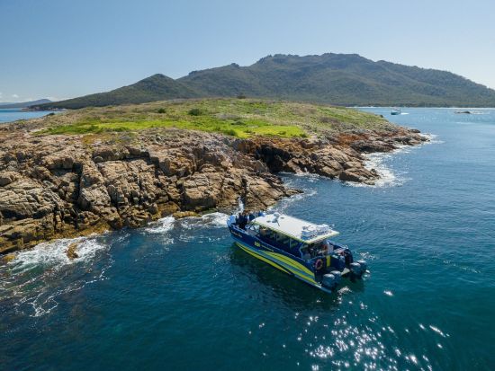 【水上タクシー】コールズ・ベイ ⇔ ハザーズ・ビーチまたはクックス・ビーチ ＜片道または往復＞