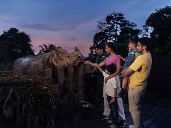 Indian Rhino Feeding (Rights Expire 2029)