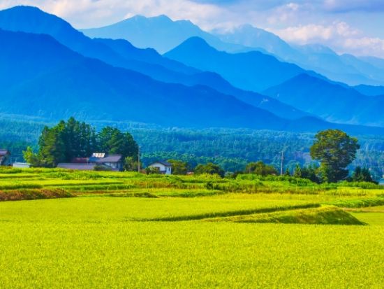 長野県安曇野　北あづみ・大町 ツアー 安曇野北部周遊・ホテルランチ付き