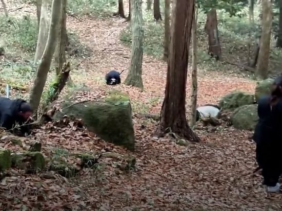 スクリーンショット 2026-04-10 151728