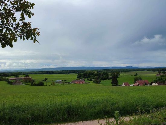 ジュラの恵みを味わい尽くす チーズとワインの一日 ＜貸切／日本語／専用車／ディジョンまたはボーヌ発＞ by H.I.S.