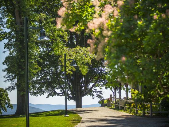 バークシャー地方 タングルウッド音楽祭日帰りバスツアー　敷地内ピクニック＆世界的演奏を満喫　チケット付きプランあり＜ニューヨーク発着＞
