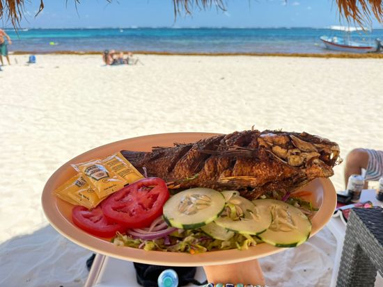 WhatsApp Image 2026-03-24 at 13.01.37 (1)