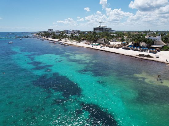 20260323_191254000_iOS