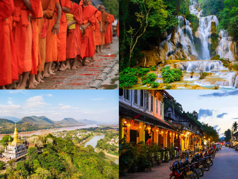 2枚の画像のギャラリー ウェブサイト