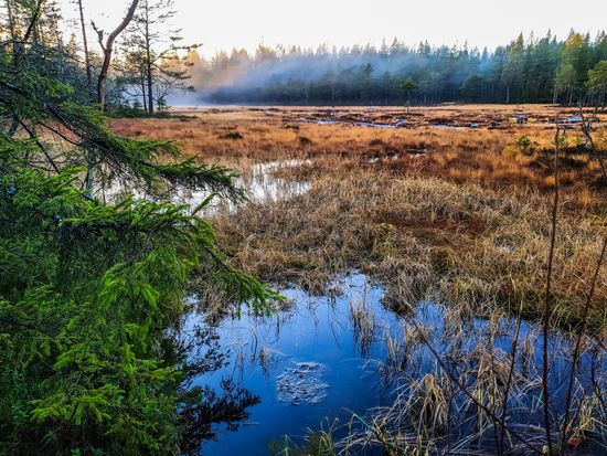 AdobeStock_392634440