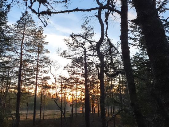 AdobeStock_392531702