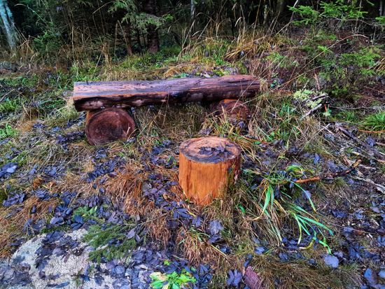 AdobeStock_392518128