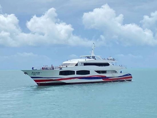 3393--293932-6842-outside