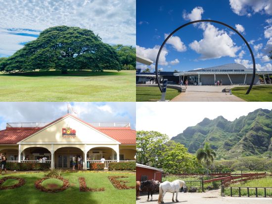 オアフ島1日周遊観光　パールハーバーやクアロアランチ、ハレイワタウンなど王道スポットを満喫！ガーリックシュリンプのランチ付き＜1日／日本語＞by H.I.S.