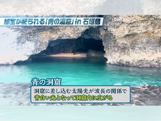 ウミガメ遭遇率80％超！話題の“あの有名人”も感動。青の洞窟シュノーケリングと神秘の秘境で感動体験ツアー！＜送迎無料／初心者歓迎／室内温水シャワー＞