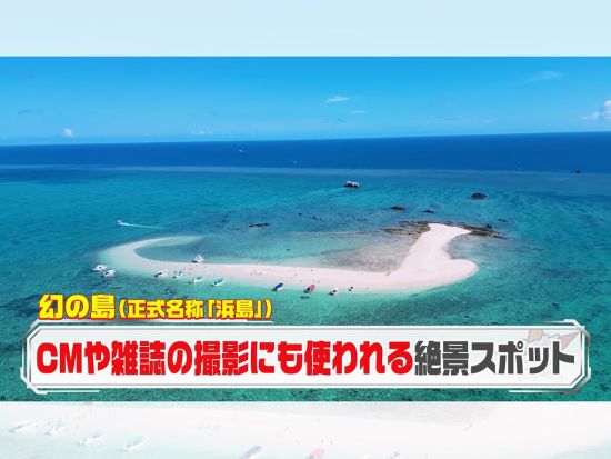 話題の“あの有名人”も上陸。「幻の島」上陸＆シュノーケリング！ウミガメ・サンゴを探索しよう！＜半日／送迎無料／初心者歓迎＞＜泳ぐ人も泳がない人も＞
