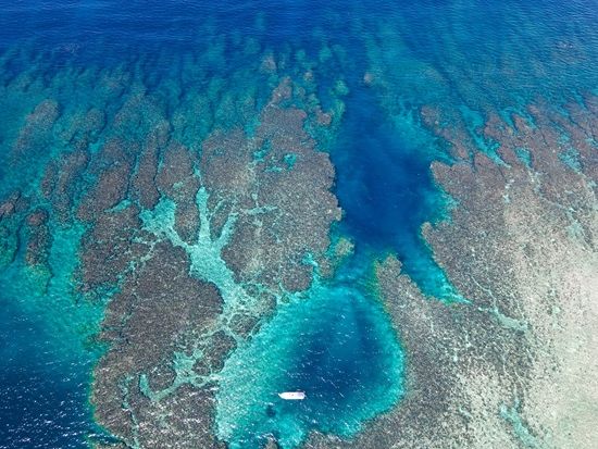 dji_fly_20230924_124122_415_1695526935958_photo
