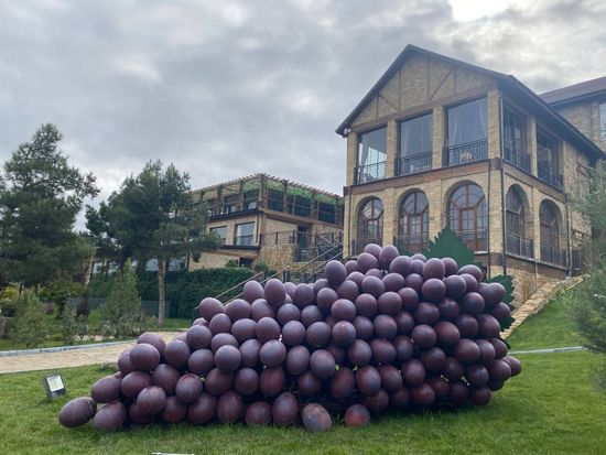 AZ_Meysari wineyard in Shemakhi 2
