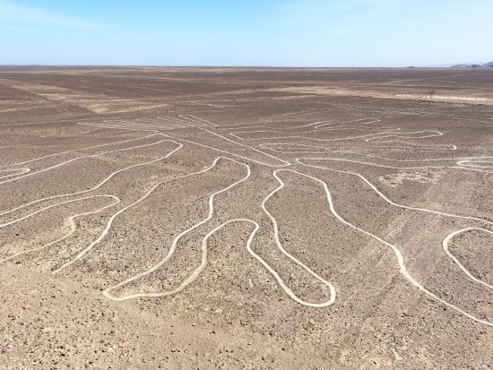 ナスカの地上絵＆ワカチナ湖日帰り観光ツアー　空から望む神秘と砂漠のオアシスを堪能＜LINE日本語サポート付き／スペイン語ドライバー／リマ発＞