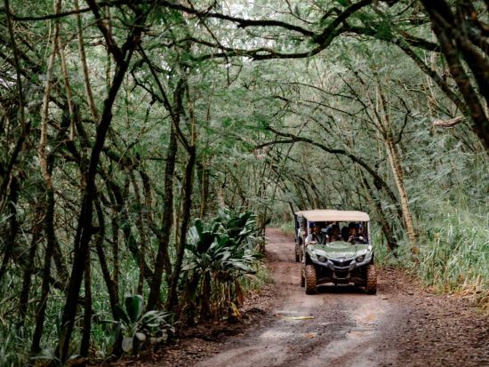 ジップライン体験＋ノースショア自由散策ツアー