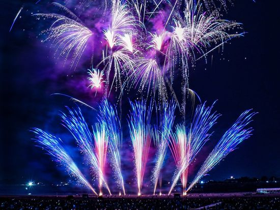 入選　華の舞　木下　歩夢