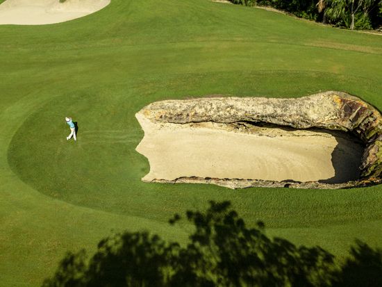 【ゴルフ予約】エル・カメレオン　マヤコバ・18ホール／リビエラマヤ・エリアの写真5