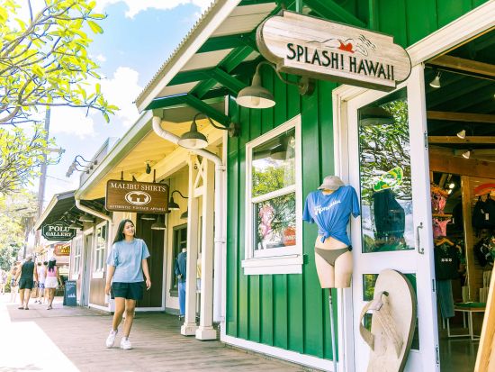 到着日限定｜空港発ノースショア自由散策ツアー(6時間)