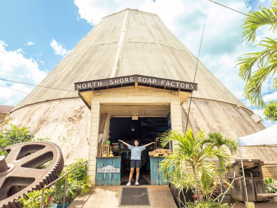 到着日限定｜空港発ノースショア自由散策ツアー(6時間)