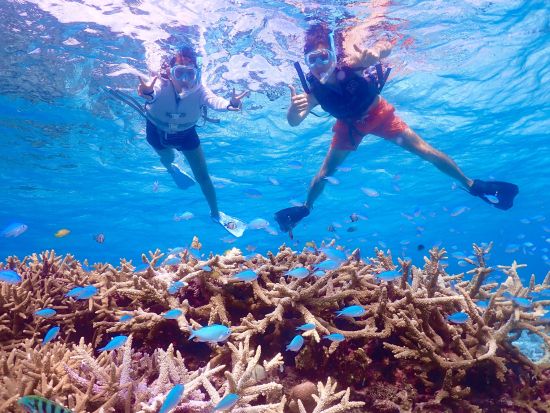 八重干瀬シュノーケリングツアー 世界屈指のサンゴ礁を大満喫◎ドローン＆水中写真無料プレゼント＜宮古島／約4時間＞