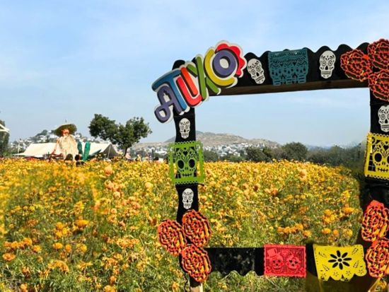 【11月1日限定】死者の日体験ツアー　マリーゴールド彩るプエブラ＆アトリスコで祝祭文化を堪能＜混載／日本語アシスタント／お土産付／メキシコシティ発＞