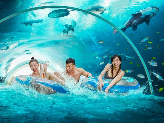 main-attraction-image