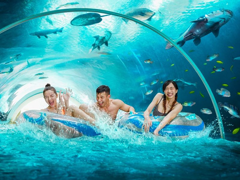 main-attraction-image