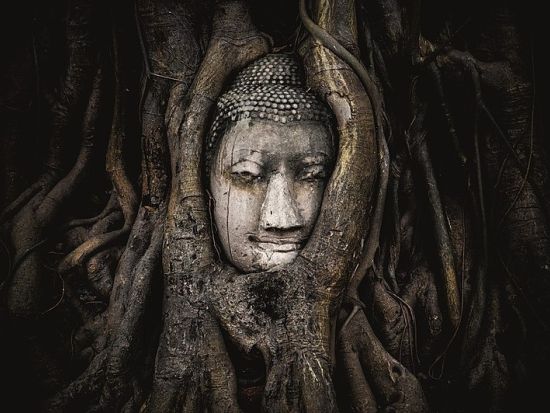 アユタヤ遺跡観光ツアー　歴史を巡る3大寺院＋黄金に輝くサンセットボート ＜英語ガイド／バンコク発着＞