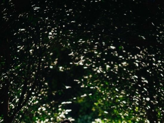 星結いの森フォトプラン〜天然のプラネタリウムと、神秘の森。 二つの表情に逢える特別な夜を一生の宝物に〜＜国頭村森林公園＞（旧：スターナイトフォトプラン）