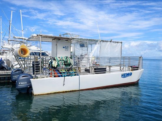 nemo停泊