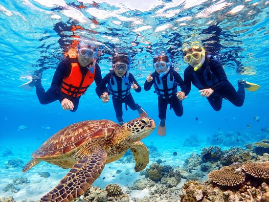 snorkel11