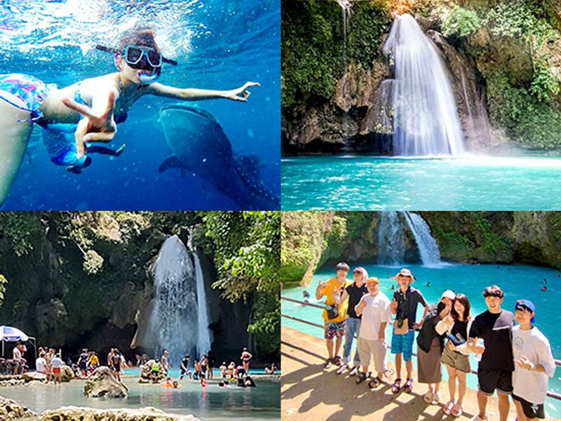 whale_shark_highlight3