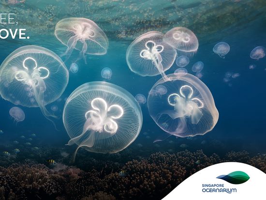 SGO_SeaJellies_16x9_Static