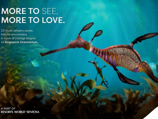 SGO_WeedySeadragon_16x9_Static_NoDateNoQR